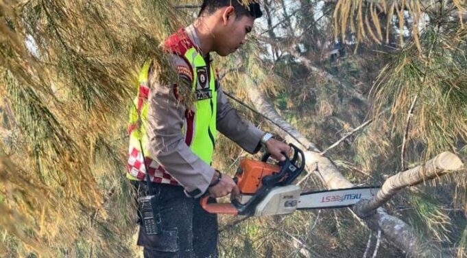 Gerak Cepat, Personil Polres Aceh Jaya Bersihkan Pohon Tumbang