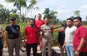 Satpol PP dan WH Lhokseumawe Ciduk 5 Terduga Begal, Barang Butik Bikin Kaget