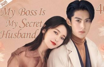 Link Nonton My Boss 2024, Sinopsis : Cinta dan Karir Pengacara Cheng Yao