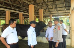 Jelang Meugang, Pj Bupati Aceh Jaya Pastikan Stok Sembako dan Daging Cukup