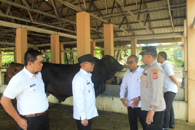 Jelang Meugang, Pj Bupati Aceh Jaya Pastikan Stok Sembako dan Daging Cukup