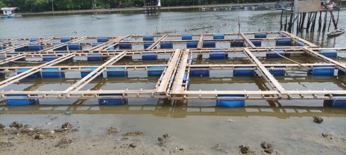 Ditelantarkan, Kini Keramba Apung Senilai Sembilan Ratusan Juta Milik DKPPP Lhokseumawe Nyaris Hancur