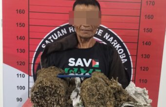 Dibungkus Karung Beras, 2 Bal Ganja Kering di Amankan Polres Aceh Utara