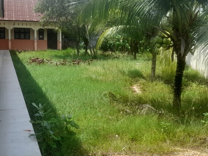 Diduga Ada Unsur Pembiaran dari Pihak Sekolah, Semak Belukar Tumbuh Subur di SMPN 13 Lhokseumawe