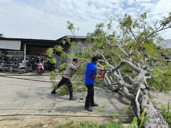 Lalu Lintas Tersendat Akibat Pohon Tumbang di Jalan Rel Dusun H. Nafi
