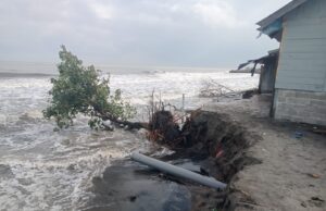 Abrasi Pantai Hantam Desa Meunasah Baro, Warga Pesisir Dihimbau Waspada