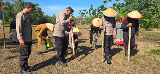 Jumlah Total 80 Hektar, Polres Aceh Utara Tanam Jagung Secara Serentak di 15 Kecamatan