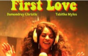 First Love Film Amerika 2024, Sinopsis: Cinta dan Musik