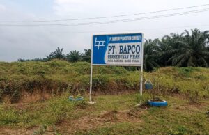 Ada Bahan Kimia: PT Bapco Himbauan Warga Tidak Melepaskan Ternak ke Area Perkebunan Sawit