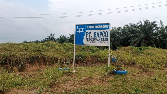 Ada Bahan Kimia: PT Bapco Himbauan Warga Tidak Melepaskan Ternak ke Area Perkebunan Sawit