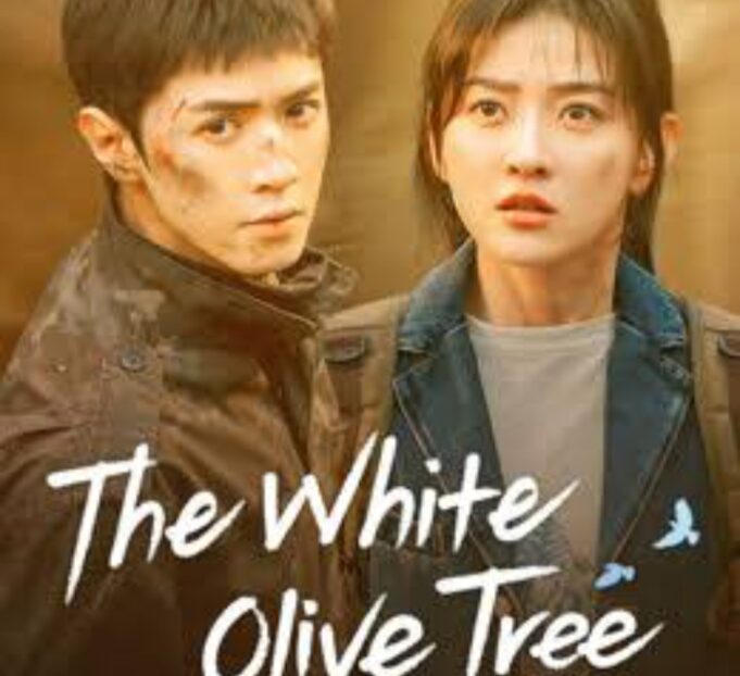 Serial The White Olive Tree Episode 34, Ketegangan Memuncak dan Takdir Kembali Menyatukan