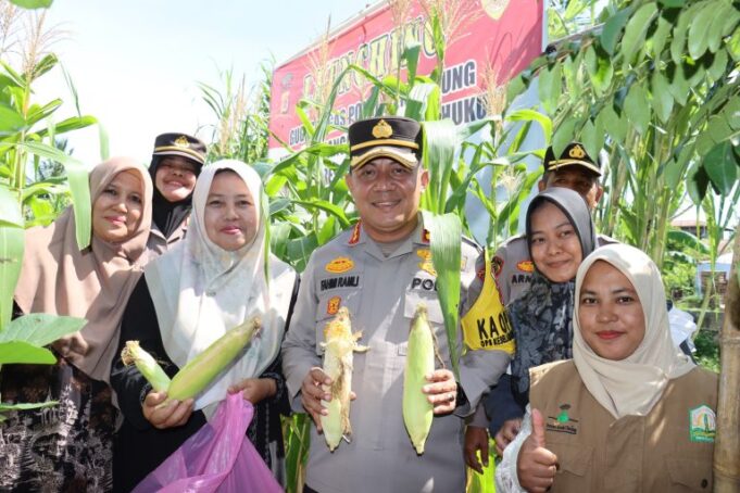 Kapolresta Banda Aceh Panen Perdana Ratusan Jagung di Gampong Geuceu Meunara