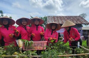 Pekarangan Pangan Lestari di Gampong Deah Baro, Upaya Bhayangkari Kota Banda Aceh dalam Ketahanan Pangan
