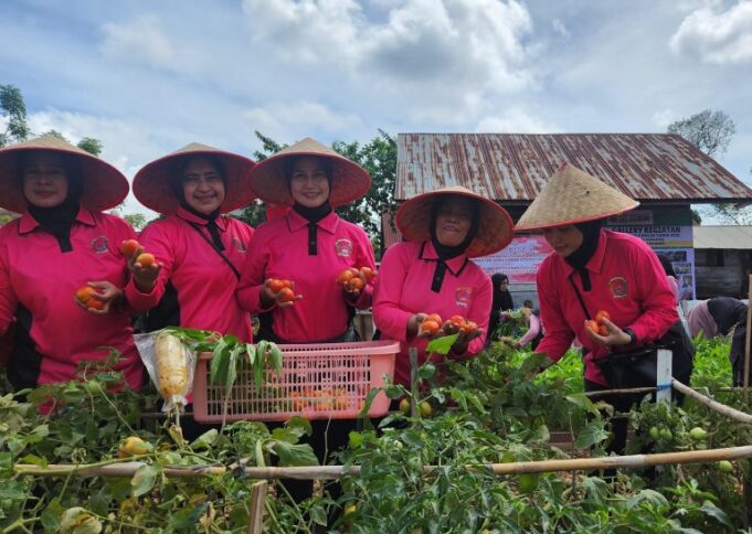 Pekarangan Pangan Lestari di Gampong Deah Baro, Upaya Bhayangkari Kota Banda Aceh dalam Ketahanan Pangan