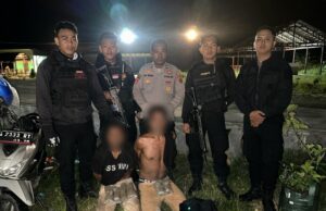 Polisi Berhasil Gagalkan Pengedar Ganja