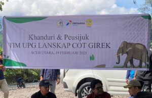 Harmoni Mulai Terbangun: Masyarakat Aceh dan Gajah Berdamai Lewat Program Konservasi