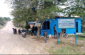 Terkait Status Lahan Plasma di Buket Makarti, Ini Penjelasan PT Satya Agung