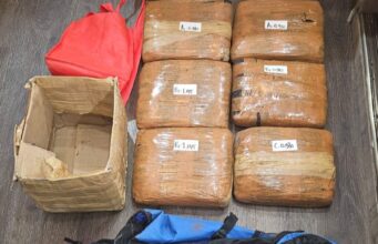 Polisi Gagalkan Peredaran 6 Kg Ganja dan Tangkap Seorang Pelaku