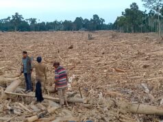 Banjir di Sejumlah Wilayah di Aceh Diduga Akibat Perambahan Hutan