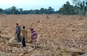 Banjir di Sejumlah Wilayah di Aceh Diduga Akibat Perambahan Hutan