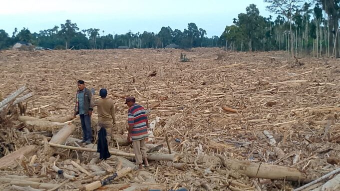 Banjir di Sejumlah Wilayah di Aceh Diduga Akibat Perambahan Hutan