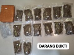 Polisi Gagalkan Peredaran 6,2 Kg Ganja, Satu Pelaku Diamankan
