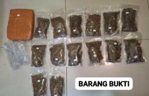 Polisi Gagalkan Peredaran 6,2 Kg Ganja, Satu Pelaku Diamankan