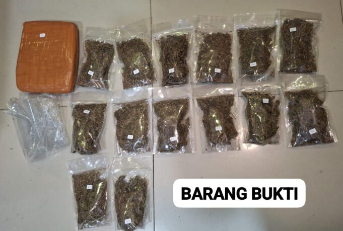 Polisi Gagalkan Peredaran 6,2 Kg Ganja, Satu Pelaku Diamankan