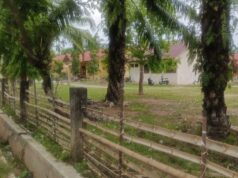 Miris! Demi Keselamatan Siswa, Sekolah Negeri di Aceh Utara Dipagari Bambu