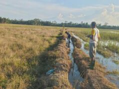 Enam Tahun Terbengkalai, Warga Teupin Mee Bangkit Bersama Normalisasi Irigasi demi Ketahanan Pangan