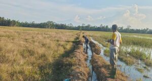 Enam Tahun Terbengkalai, Warga Teupin Mee Bangkit Bersama Normalisasi Irigasi demi Ketahanan Pangan