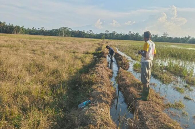 Enam Tahun Terbengkalai, Warga Teupin Mee Bangkit Bersama Normalisasi Irigasi demi Ketahanan Pangan