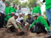 Luncurkan Program Kampung Mangga, PT PIM Bagikan 600 Bibit Kiojay