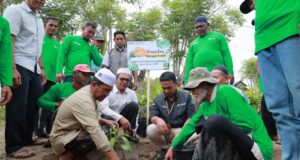 Luncurkan Program Kampung Mangga, PT PIM Bagikan 600 Bibit Kiojay