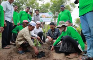 Luncurkan Program Kampung Mangga, PT PIM Bagikan 600 Bibit Kiojay