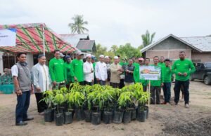 PT PIM Luncurkan Program Kampung Mangga di Paloh Lada, 600 Bibit Kiojay Dibagikan kepada Warga