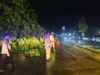 Hujan Lebat dan Angin Kencang Terjang Lhokseumawe, Pohon Tumbang Timpa Rumah dan Mobil