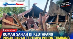 Memprihatinkan, Rumah Safiah di Keutapang Rusak Parah Tertimpa Pohon Tumbang