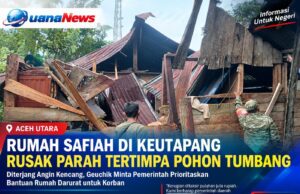 Memprihatinkan, Rumah Safiah di Keutapang Rusak Parah Tertimpa Pohon Tumbang