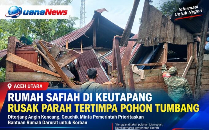 Memprihatinkan, Rumah Safiah di Keutapang Rusak Parah Tertimpa Pohon Tumbang